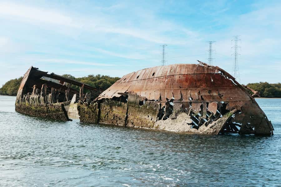 Port Adelaide: Dolphin and Ships Graveyard Cruise - Why this Port Adelaide cruise is worth your time
