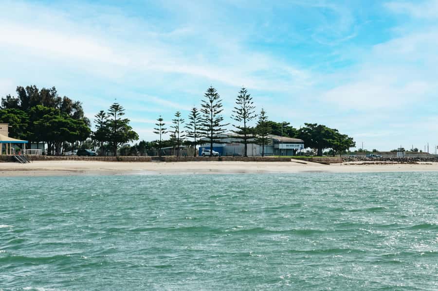 Port Adelaide: Dolphin and Ships Graveyard Cruise - What the 90-minute timing feels like