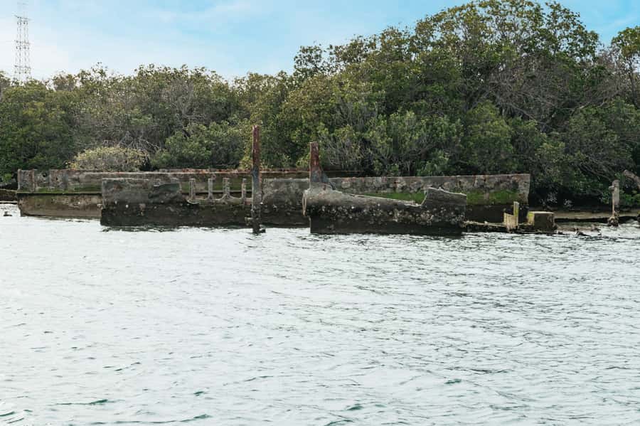 Port Adelaide: Dolphin and Ships Graveyard Cruise - Is $62 good value?