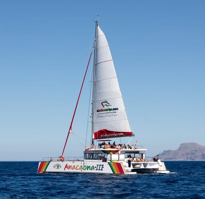 Port d'Alcudia: North Coast Catamaran Cruise with Meal - Who should book the Alcúdia catamaran cruise?