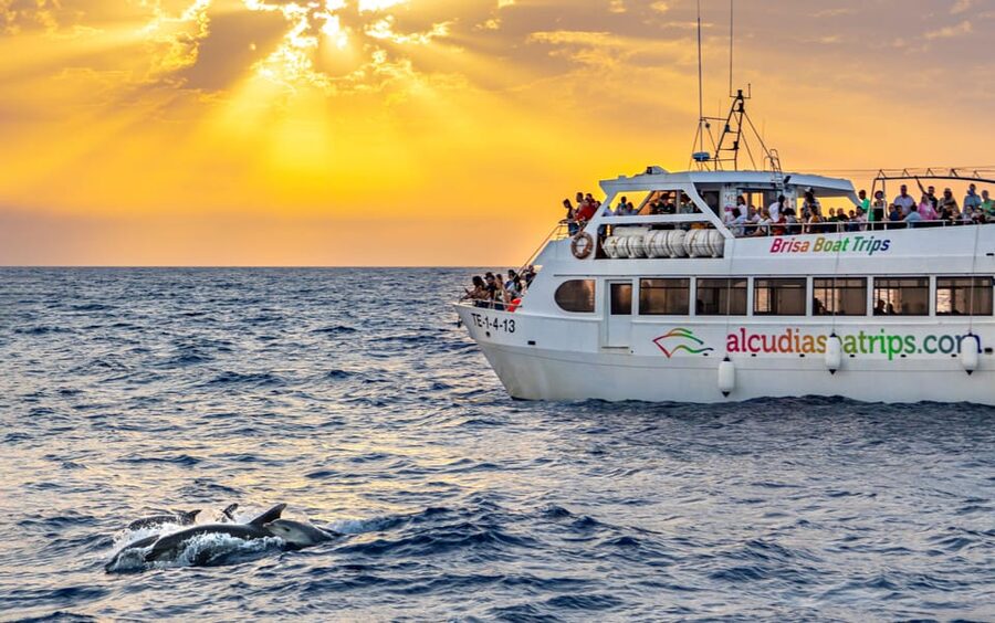 Port d'Alcudia: Sunrise at Sea & Dolphin Watching Boat Tour - Leaving Port Alcúdia before sunrise