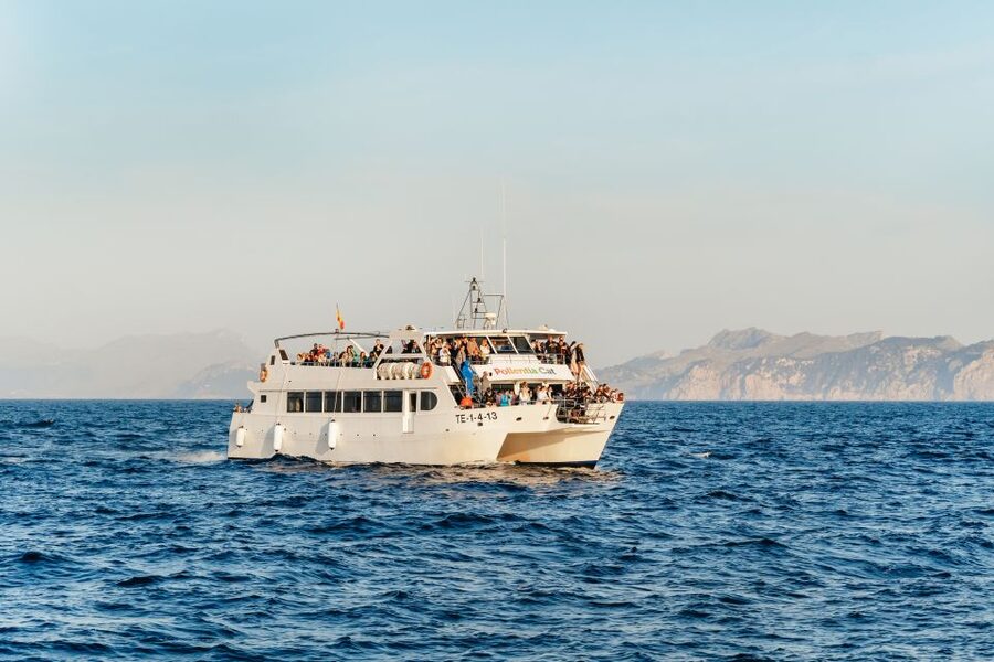 Port d'Alcudia: Sunrise at Sea & Dolphin Watching Boat Tour - Finding dolphins in open water