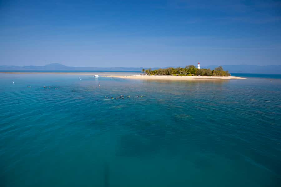 Port Douglas: Low Isles Glass Bottom Boat & Snorkeling Tour - What makes this Low Isles trip worth your morning
