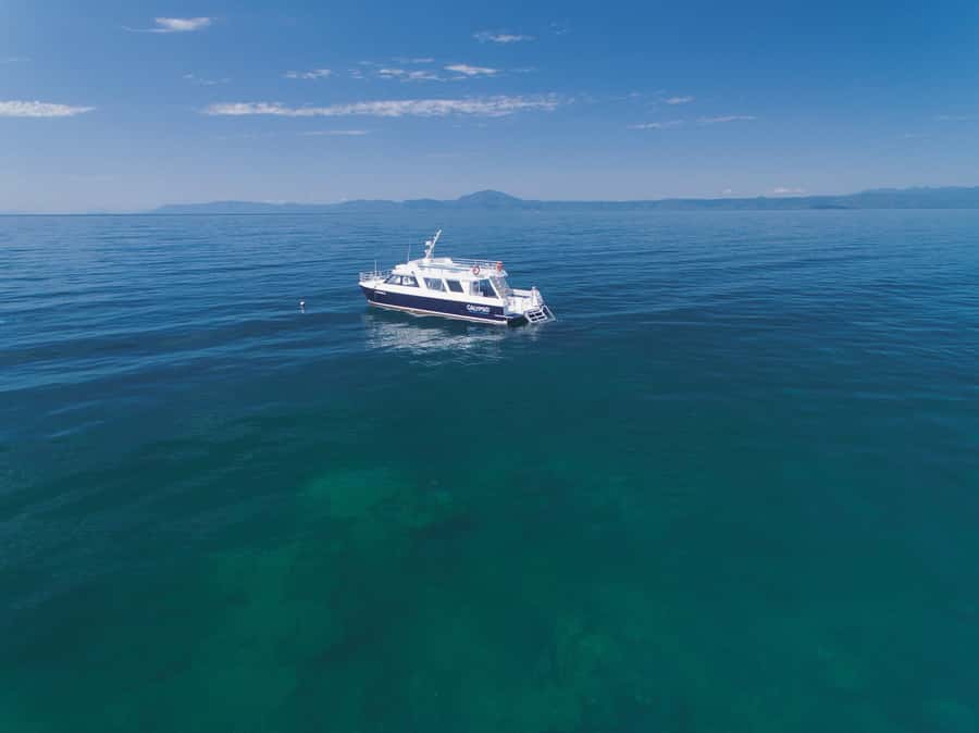 Port Douglas: Low Isles Glass Bottom Boat & Snorkeling Tour - Snorkeling the Low Isles lagoon