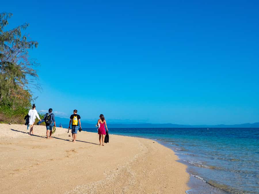 Port Douglas: Low Isles Glass Bottom Boat & Snorkeling Tour - Low Isles gives you choices instead of one fixed activity