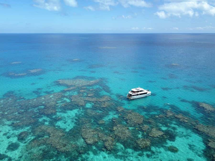 Port Douglas: Outer Great Barrier Reef Snorkeling Cruise - The second site and the best guided snorkeling