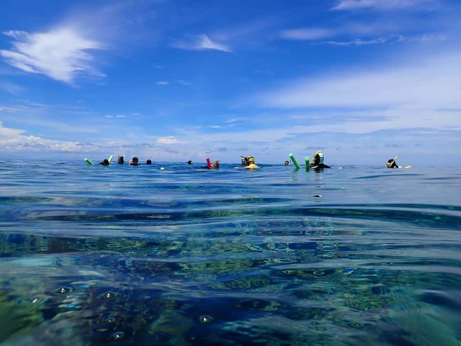 Port Douglas: Outer Great Barrier Reef Snorkeling Cruise - The third reef stop and free photographs