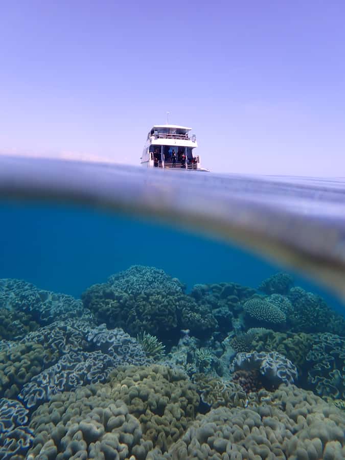 Port Douglas: Outer Great Barrier Reef Snorkeling Cruise - Who should book this cruise?