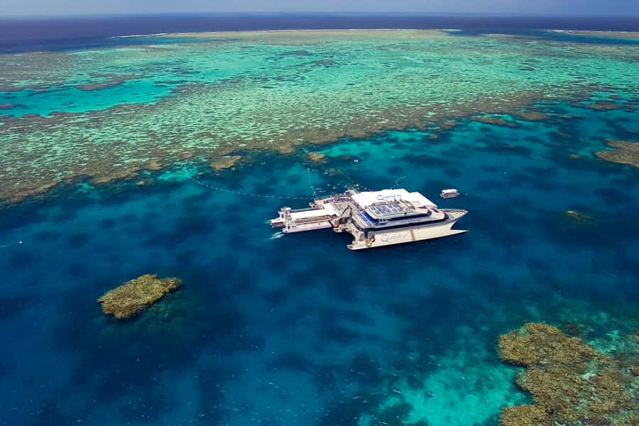 Port Douglas: Quicksilver Outer Barrier Reef Full-Day Cruise - Key points to know before you book