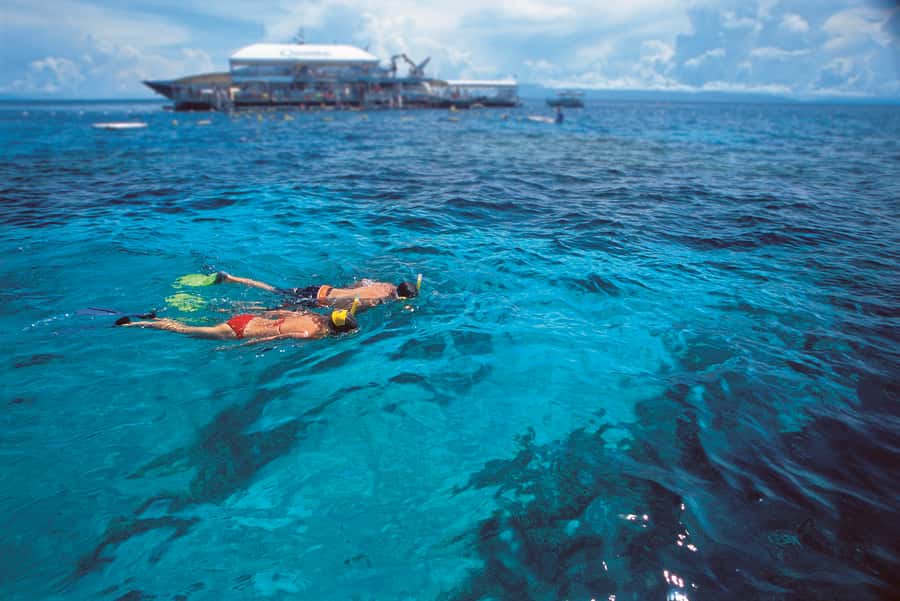 Port Douglas: Quicksilver Outer Barrier Reef Full-Day Cruise - Should you book Quicksilver from Port Douglas?