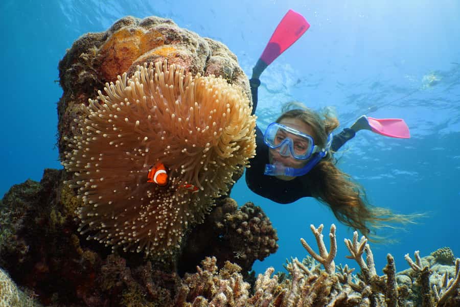 Port Douglas: Quicksilver Outer Barrier Reef Full-Day Cruise - Agincourt Reef and the floating activity platform