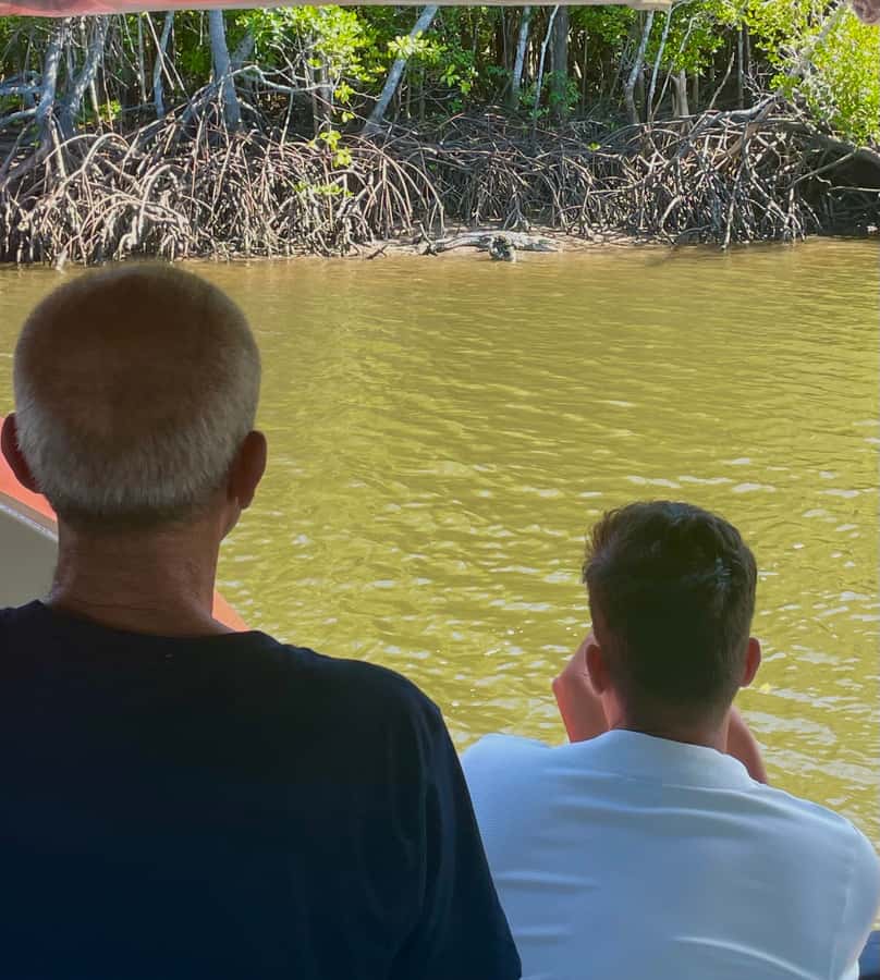 Port Douglas: River Cruise, Crocodile Spotting, Drink/ Snack - Who Should Book This River Cruise?
