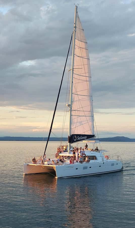 Port Douglas: Sunset Sailing Cruise on Luxury Catamaran - Canapes and the included welcome drink