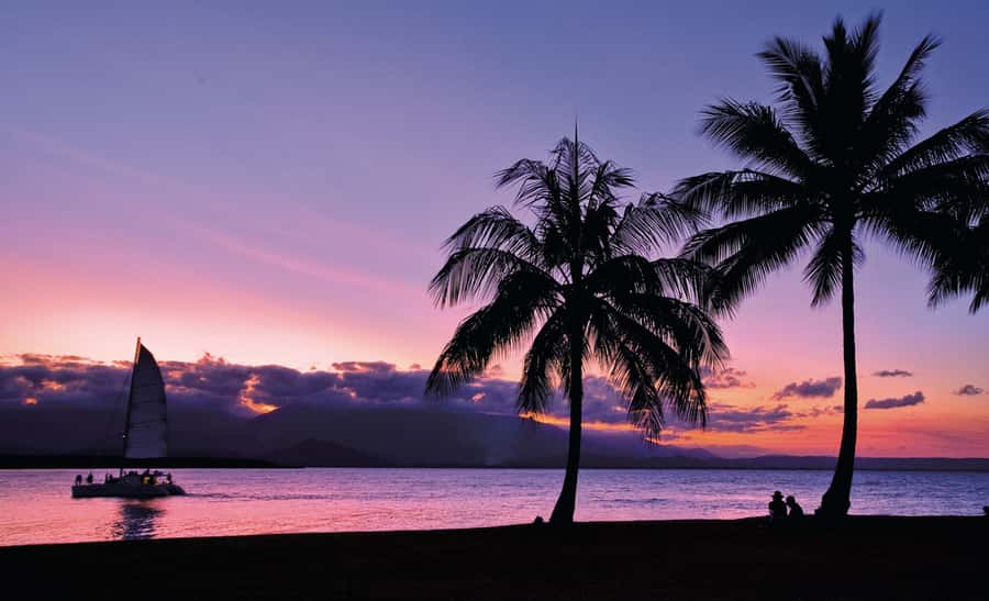 Port Douglas: Sunset Sailing Cruise on Luxury Catamaran - Who should book this sunset sail?