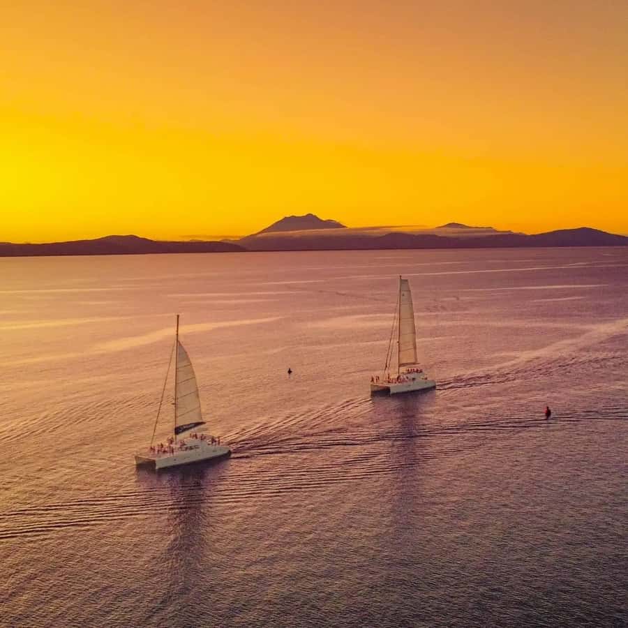 Port Douglas: Sunset Sailing Cruise on Luxury Catamaran - My verdict: book it for the sailing, not only the sunset