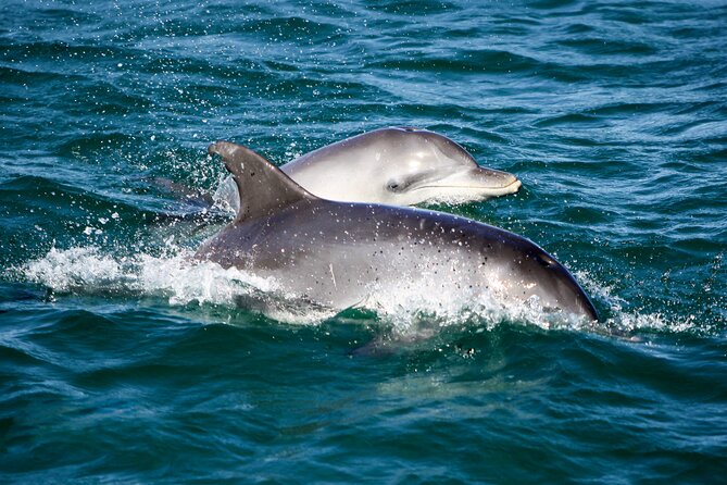 Port Stephens: Dolphin Discovery Cruise - Leaving Nelson Bay for Port Stephens Marine Park