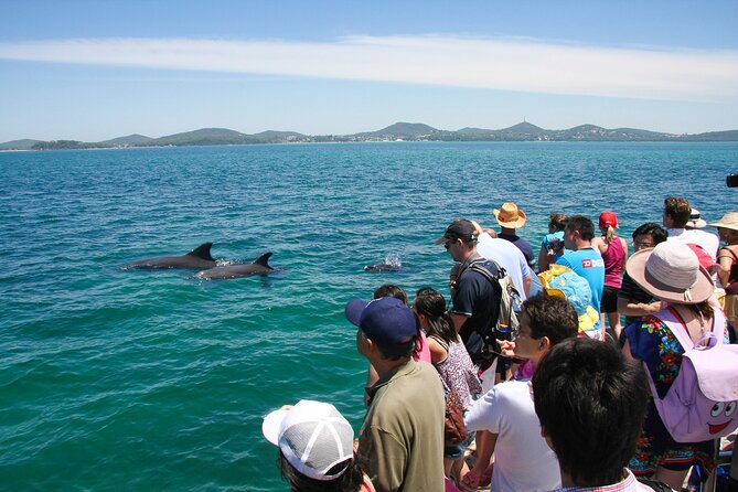 Port Stephens: Dolphin Discovery Cruise - Live commentary from the captain