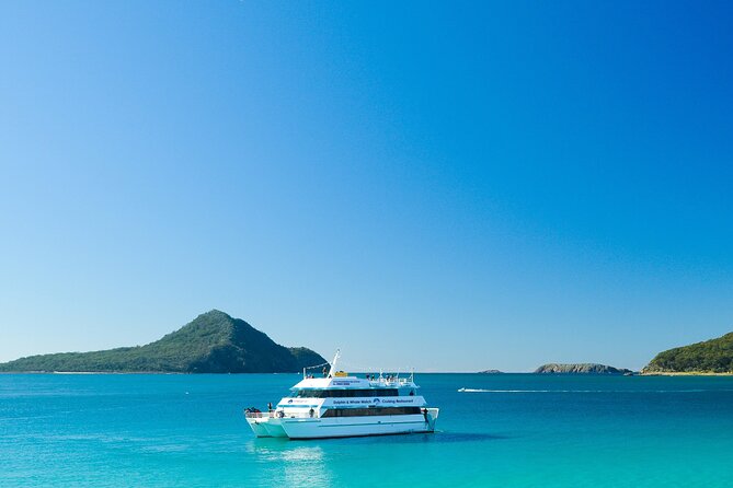 Port Stephens: Dolphin Discovery Cruise - The first search for bottlenose dolphins