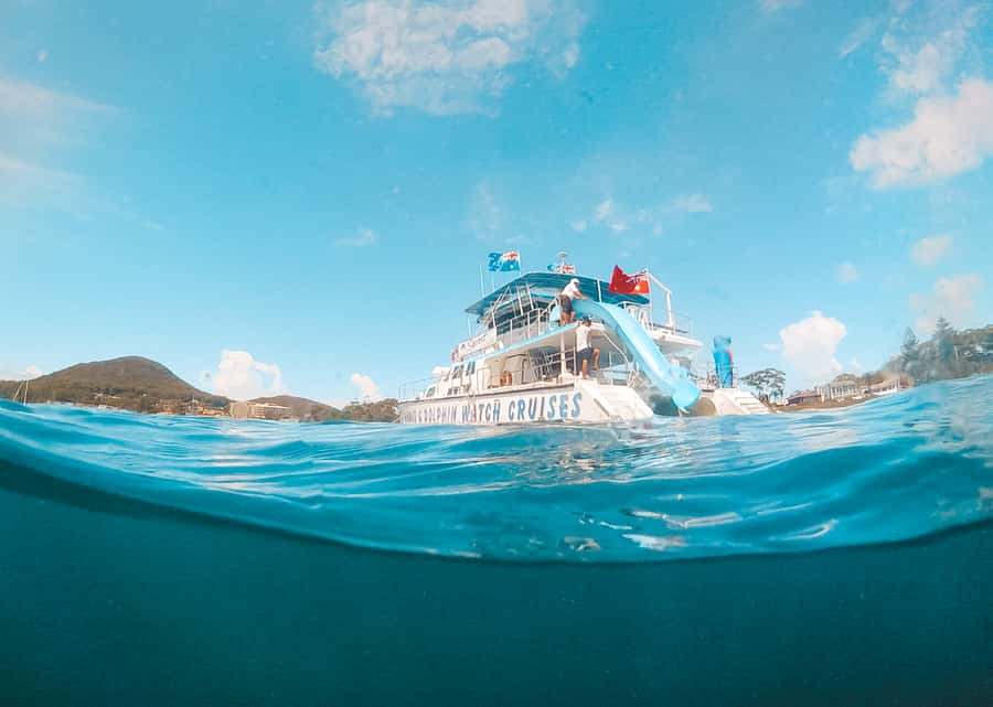 Port Stephens: Dolphin Watch Cruise with Swimming and Slides - Views of Tomaree and Yacaaba headlands