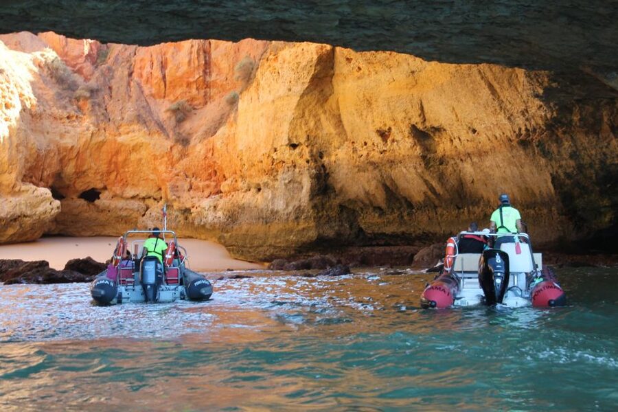 Portimão: Benagil Cave and Praia de Marinha Boat Tour - Dolphins, weather, and what can change