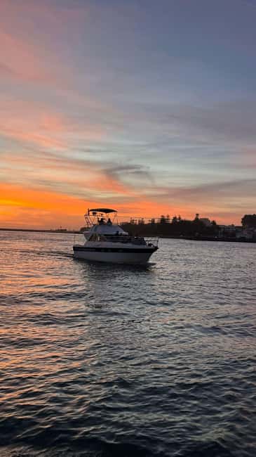 Porto: 6 Bridges Cruise, Welcome Drink & Sunset Option - Porto from the Douro: the bridge sequence