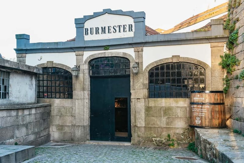 Porto: Bridges Cruise & Sunset & Port Wine Cellar Option - The audio guide: useful, but bring your own setup