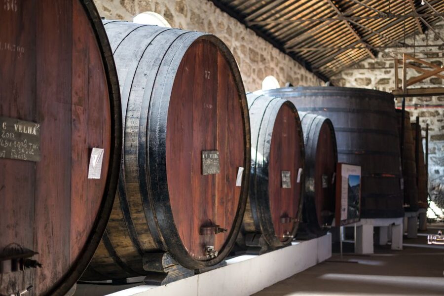 Porto: City Train Tour, River Cruise & Wine Cellar - How to arrange the day