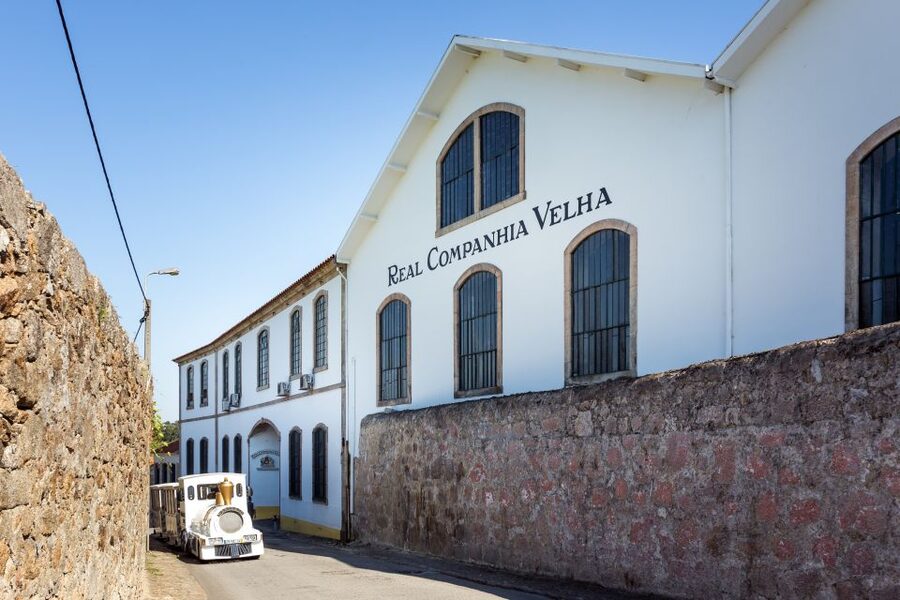 Porto: City Train Tour, River Cruise & Wine Cellar - What $43 buys you