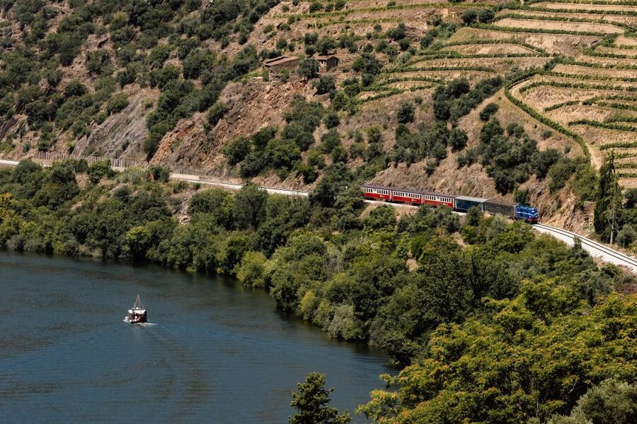 Porto: Douro Valley Full-Day Boat, Train, and Lunch Tour - The highlights at a glance