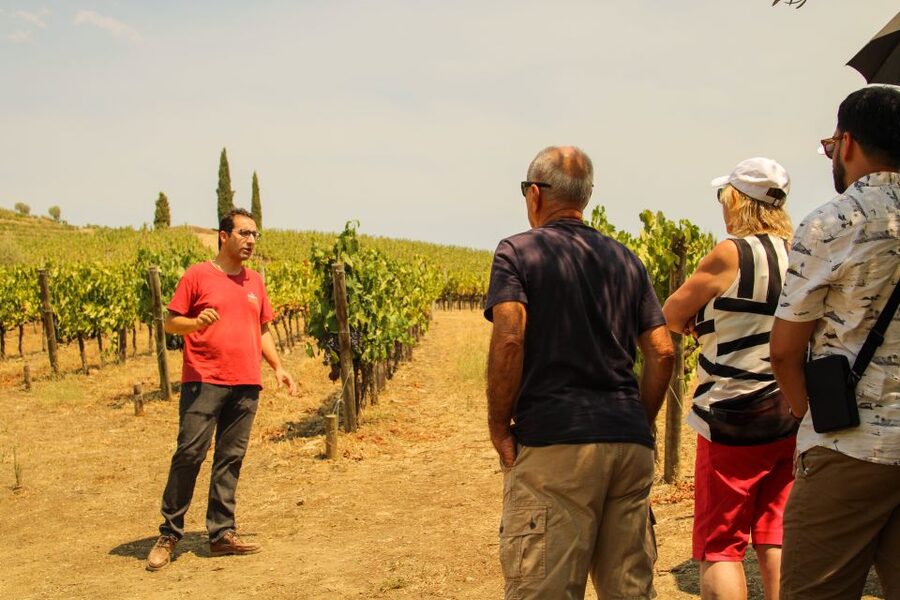 Porto: Douro Valley History & Wine Tour with Cruise & Lunch - The essential details at a glance