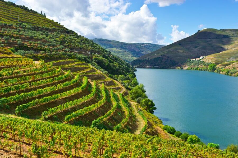 Porto: Douro Valley History & Wine Tour with Cruise & Lunch - Why the Douro Valley deserves a full day