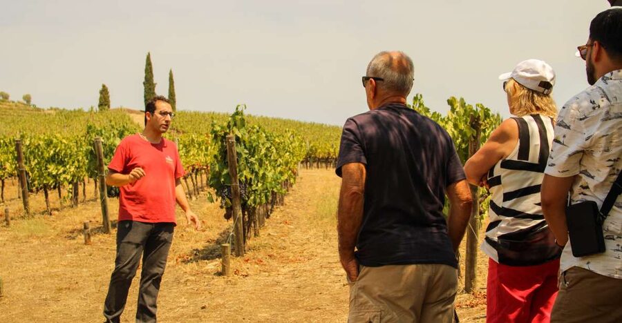 Porto: Douro Valley History & Wine Tour with Cruise & Lunch - Amarante gives the morning a gentle start