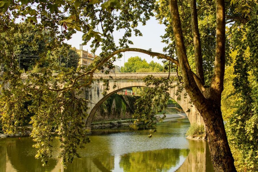 Porto: Douro Valley History & Wine Tour with Cruise & Lunch - A three-course Douro lunch above the vineyards