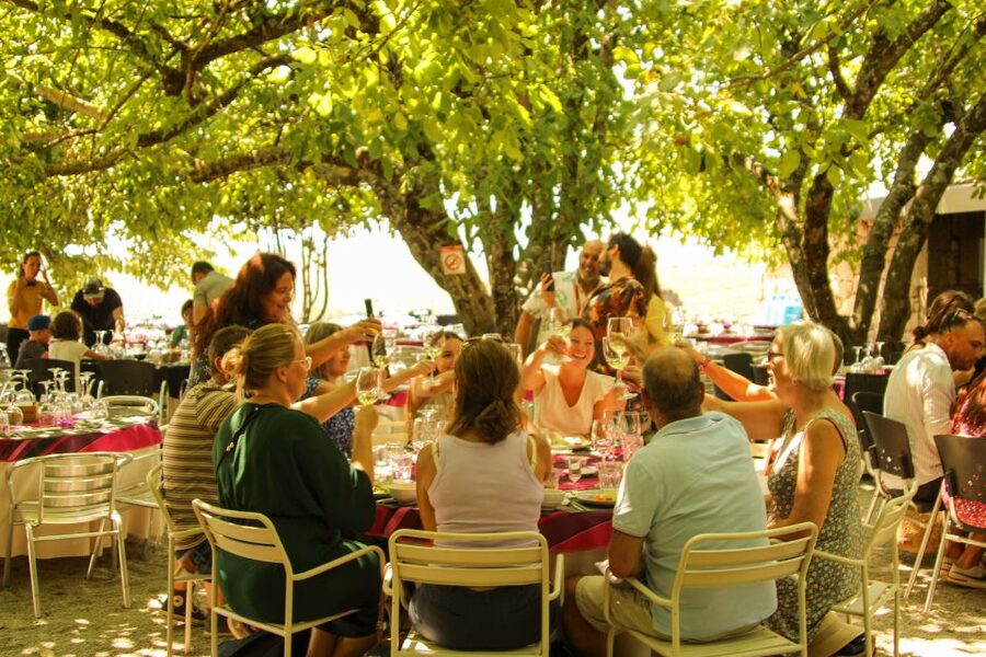 Porto: Douro Valley History & Wine Tour with Cruise & Lunch - The wine estate explains port, without overpromising