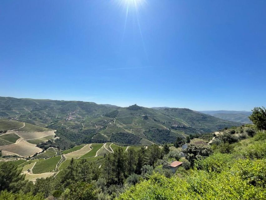 Porto: Douro Valley Tour with 2 Wineries, Lunch and Cruise - At a glance: what makes this Douro day special