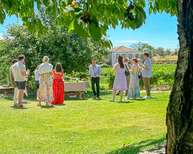 Porto: Douro Valley Tour with 2 Wineries, Lunch and Cruise - Pinhão and the one-hour river cruise