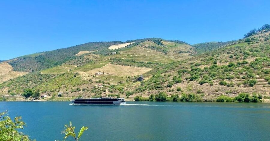 Porto: Douro Valley Tour with 2 Wineries, Lunch and Cruise - The first winery: Port, olive oil, and local traditions