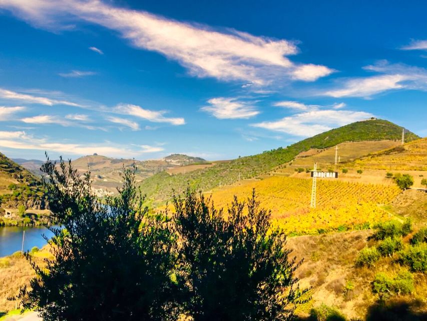 Porto: Douro Valley Tour with 2 Wineries, Lunch and Cruise - Lunch in Sabrosa with wine from the valley