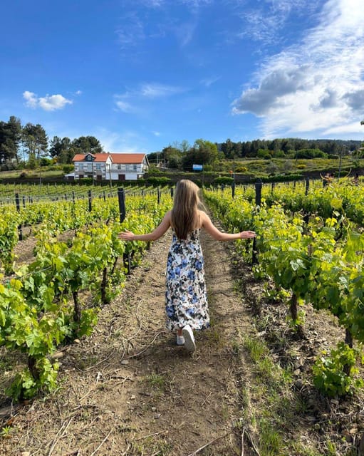 Porto: Douro Valley Tour with 2 Wineries, Lunch and Cruise - Why the guiding makes such a difference