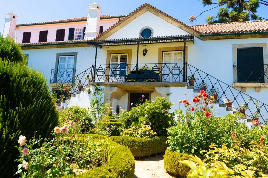 Porto: Douro Valley Tour with Lunch, Boat Cruise & Tastings - Who will enjoy this day most