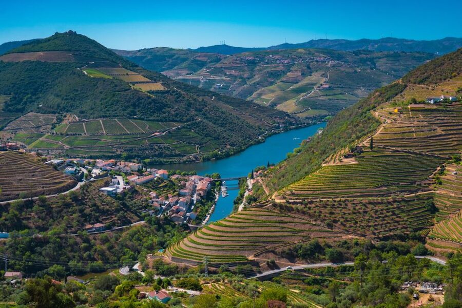 Porto: Douro Valley Tour with Lunch, Boat Cruise & Tastings - The Pinhão cruise on the Douro