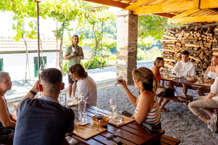 Porto: Douro Valley Tour with Lunch, Boat Cruise & Tastings - The second cellar or wine shop visit
