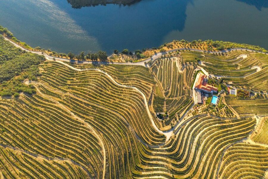 Porto: Douro Valley Tour with Lunch, Boat Cruise & Tastings - What the $82 price really buys you