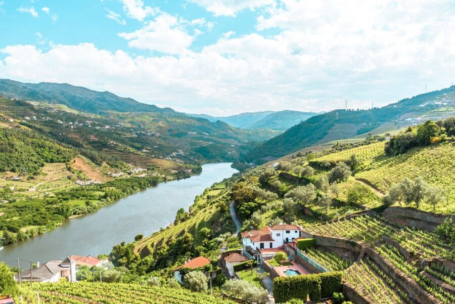 Porto: Douro Valley Tour with Wine Tasting, Cruise and Lunch - Key Things to Know Before You Go