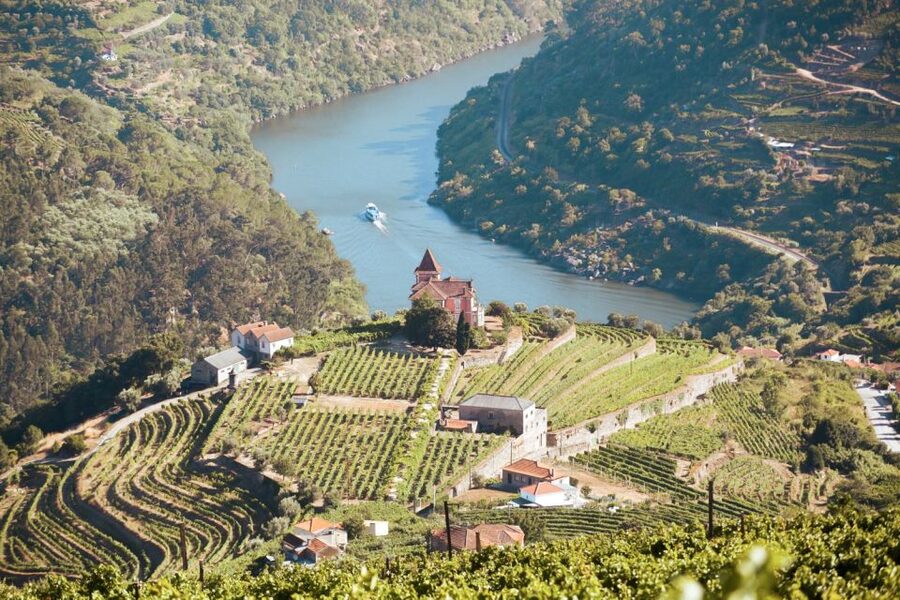 Porto: Douro Valley Tour with Wine Tasting, Cruise and Lunch - Why the Douro Valley Makes a Good Day Trip from Porto