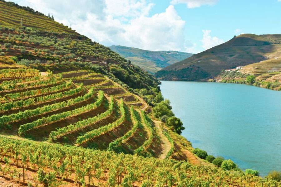 Porto: Douro Valley Tour with Wine Tasting, Cruise and Lunch - Pinhão and the One-Hour River Cruise