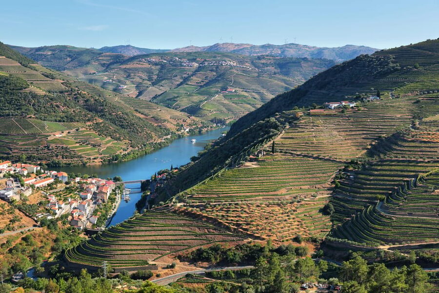 Porto: Douro Valley Wine Tour with a Sommelier & Boat Trip - Why this Douro Valley day works so well