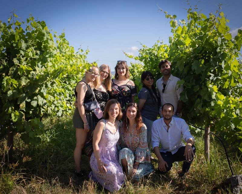 Porto: Douro Valley Wine Tour with a Sommelier & Boat Trip - Lunch in Pinhão with Douro DOC wine