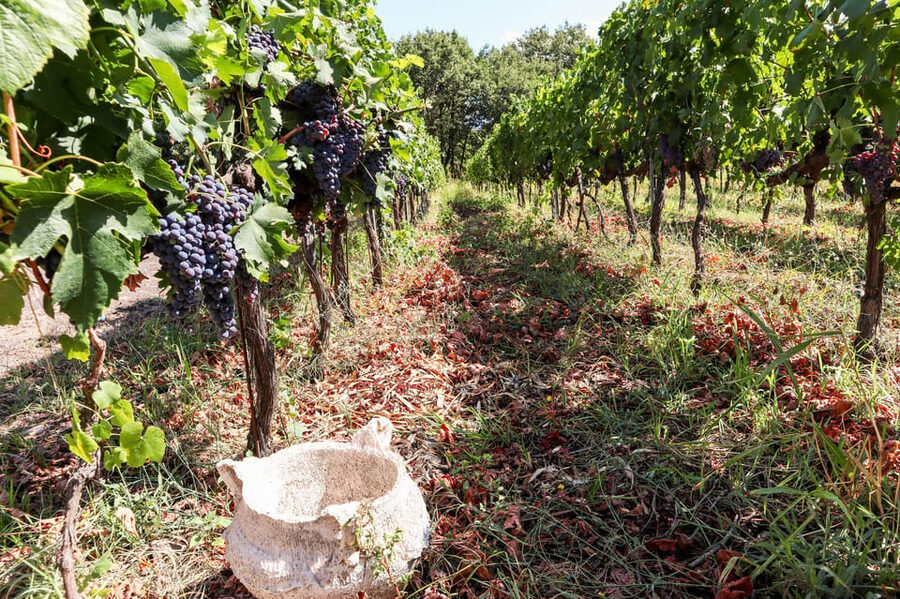 Porto: Douro Valley Wine Tour with a Sommelier & Boat Trip - Seeing Pinhão from the Douro River