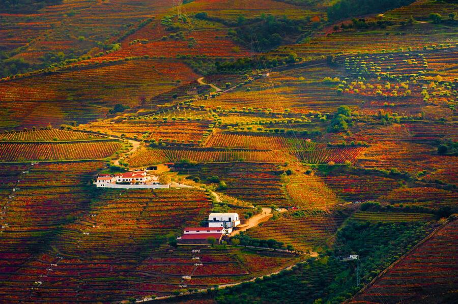 Porto: Douro Valley Wine Tour with a Sommelier & Boat Trip - The van ride back to Porto